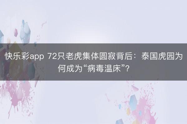 快乐彩app 72只老虎集体圆寂背后：泰国虎园为何成为“病毒温床”？